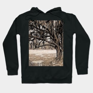 Trees On the Grounds of Jean Lafitte National Historical Park  Louisiana Hoodie